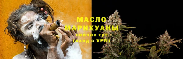 гидра Надым
