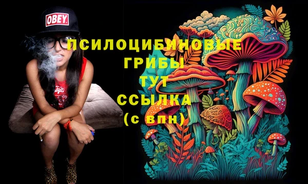 мдпв Пересвет