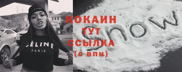 гидра Надым