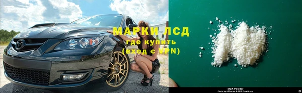 гидра Надым