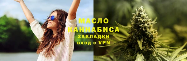 гидра Надым