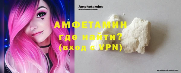 гидра Надым