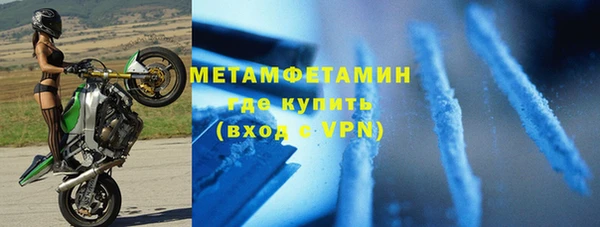гидра Надым