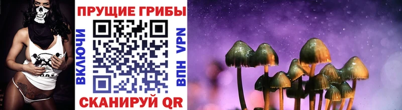 mega вход  Талдом  darknet наркотические препараты  Галлюциногенные грибы ЛСД 